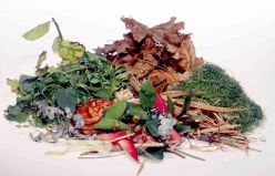 Garden waste