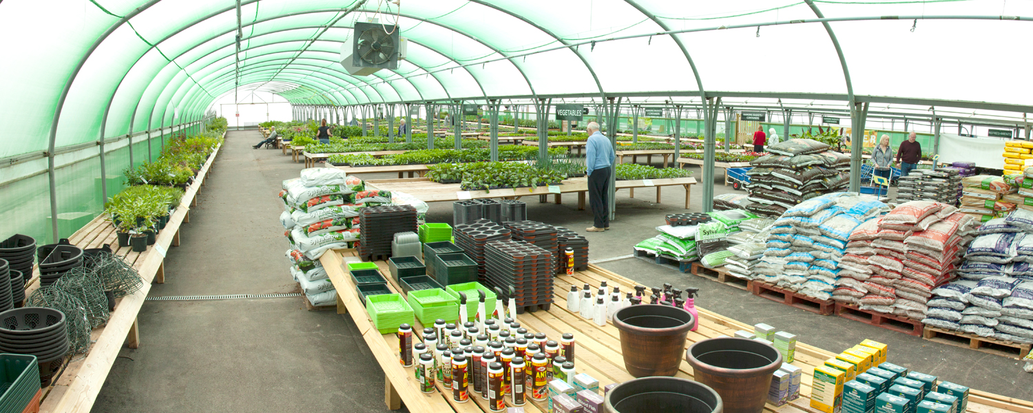 Inside the Blaise Plant Nursery shop