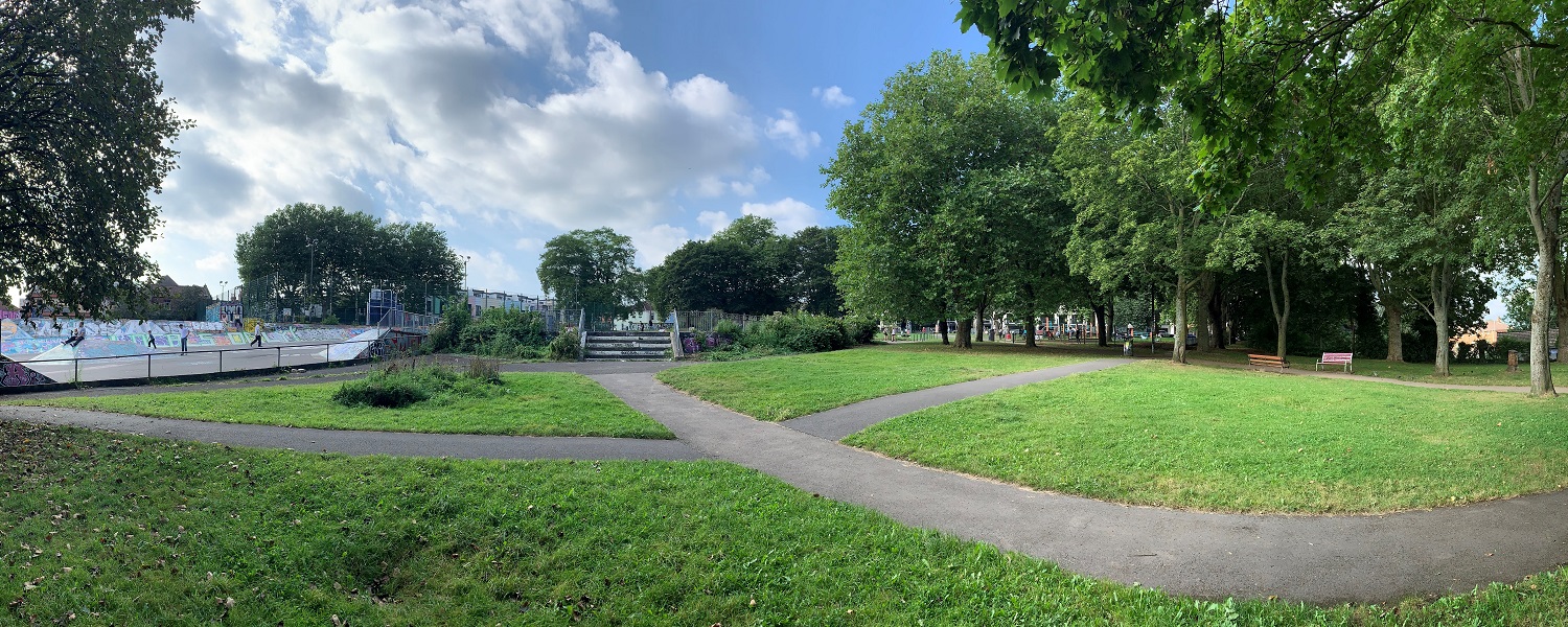 A skate park surrounded by trees