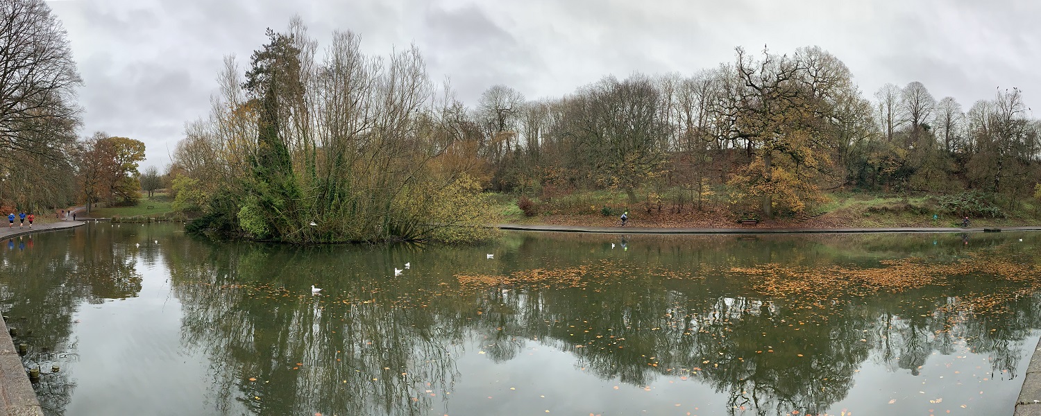 A lake in a park