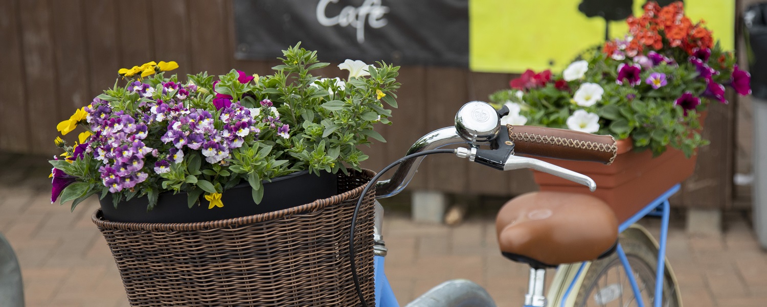 A bike with flowers in the basket