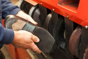 A pair of hands holding a shoe